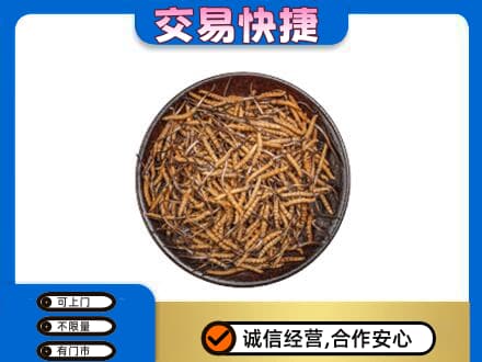 廊坊回收散虫草